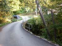 Estos dos �rboles corren riesgo de caerse