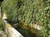 Fuente en Pumare&ntilde;a