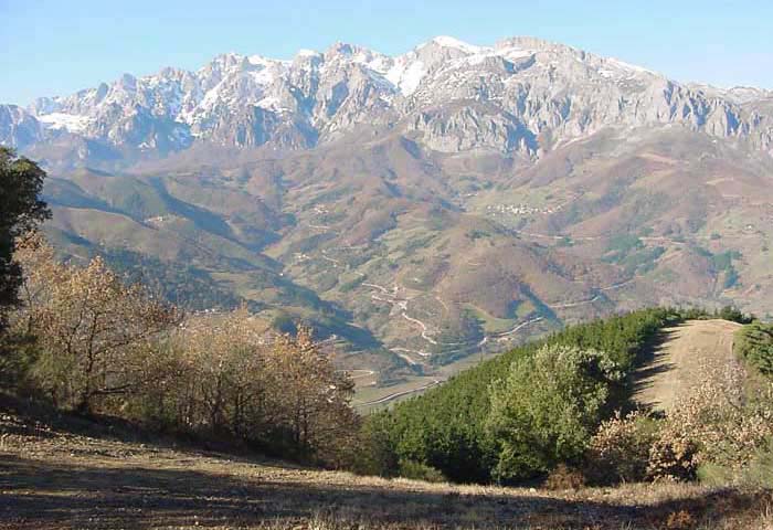 picos2