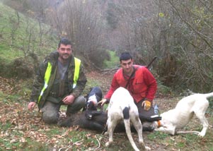 Los perros pudieron morder lo que quisieron