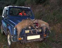 Paseo en coche