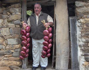 Dos fabulosas riestras o ramos de cebollas "made en Bedoya" 