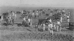 Hacienda de Tarimoro en los primeros años del siglo XX