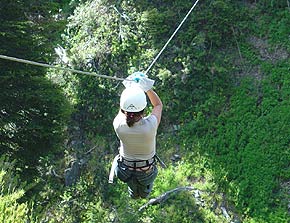 Haciendo Canopy