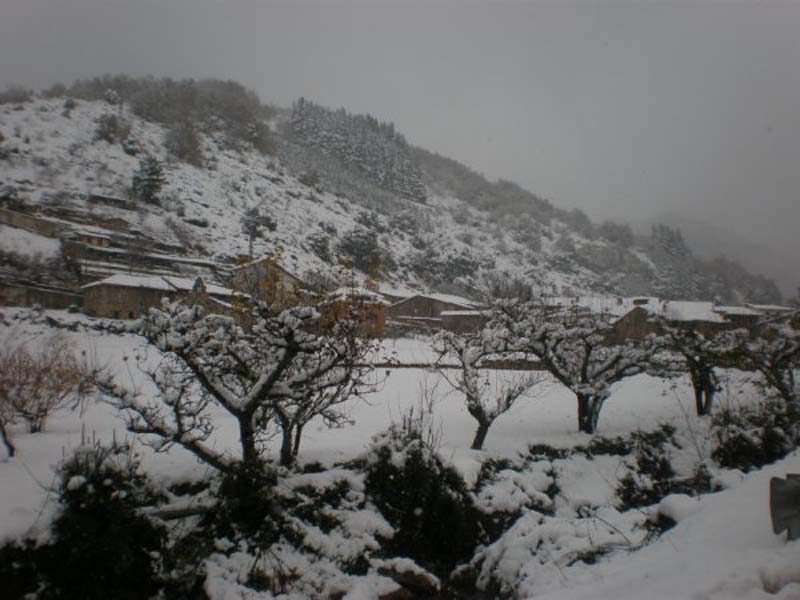 nieve28