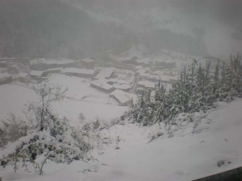 nieve47