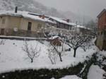 nieve31