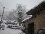 nieve56